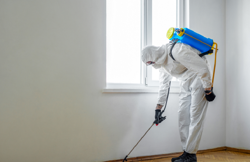 بؤر السموم المخفية في المنازل!