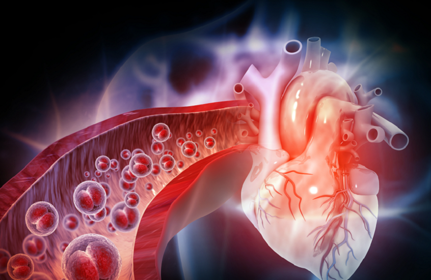 تأثير مذهل للرياضة على بنية أعصاب القلب