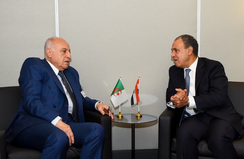 مباحثات مصرية جزائرية في قضايا التعاون الثنائي وتطورات غزة وليبيا