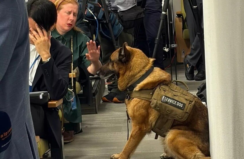 زاخاروفا: مؤتمر لافروف الصحفي في الأمم المتحدة جرى تحت حراسة كلب "الراعي الألماني"