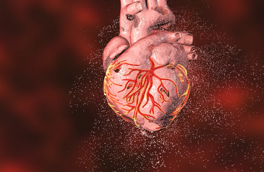 معلومات مذهلة عن القلب: من تكوّنه في الرحم إلى تأثير الموسيقى والفضاء