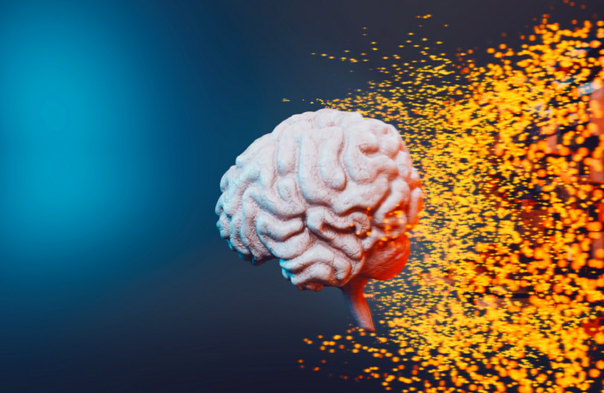 تطور دماغ الإنسان قد يفسر ارتفاع معدلات التوحد