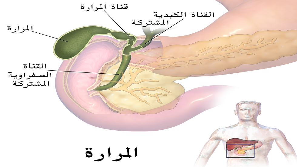 عواقب ركود الصفراء