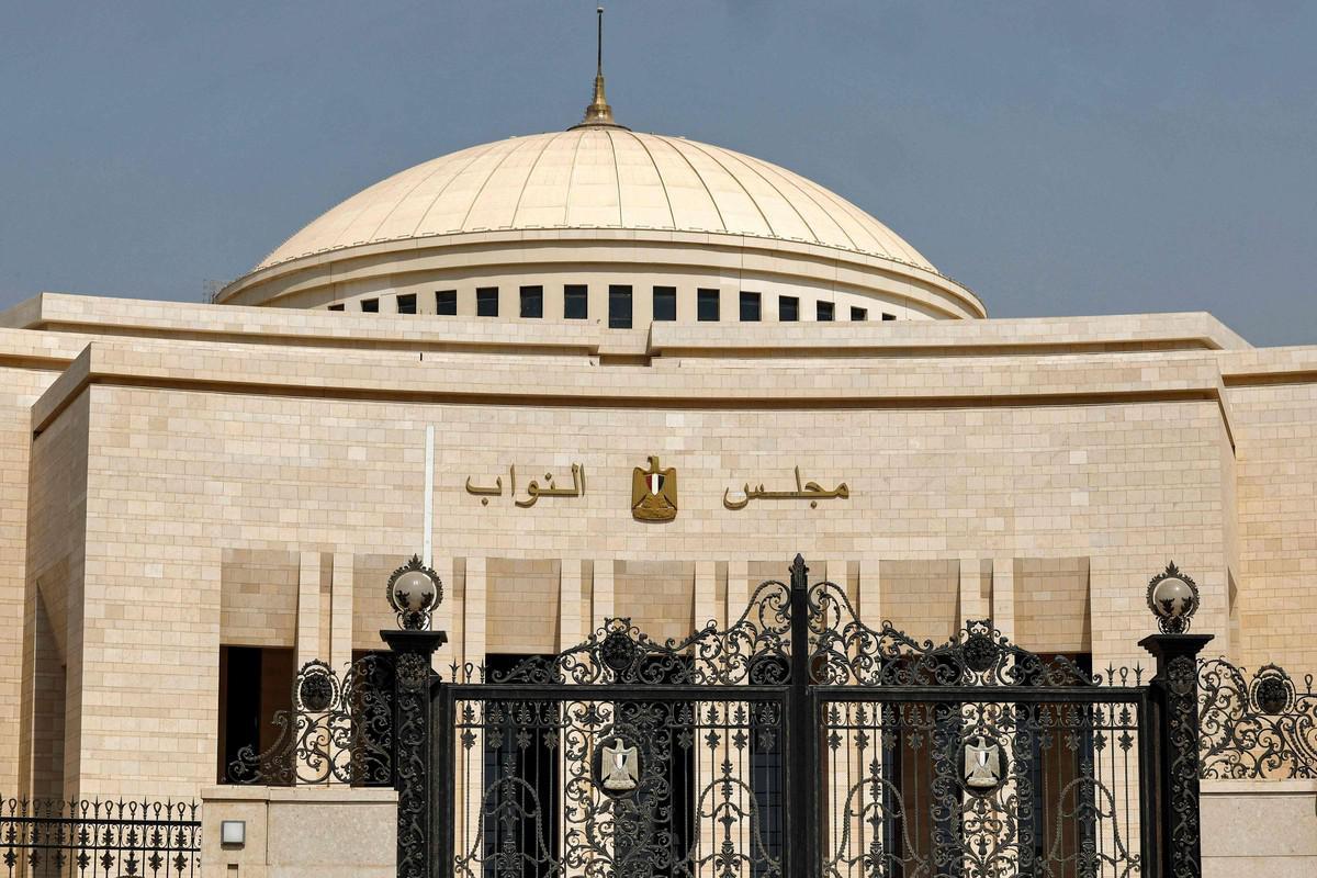 برلمانية مصرية تكشف تفاصيل مشروع خطير عارضته يخص صحة المواطنين