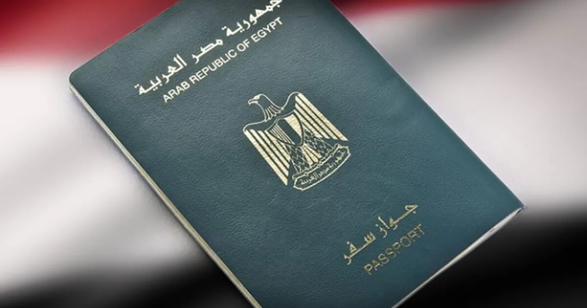 مصر تمنح الجنسية لـ25 سوريا دفعة واحدة معظمهم حلبيون