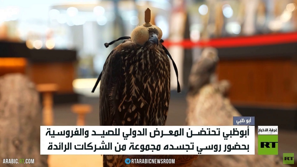 أبو ظبي.. المعرض الدولي للصيد والفروسية
