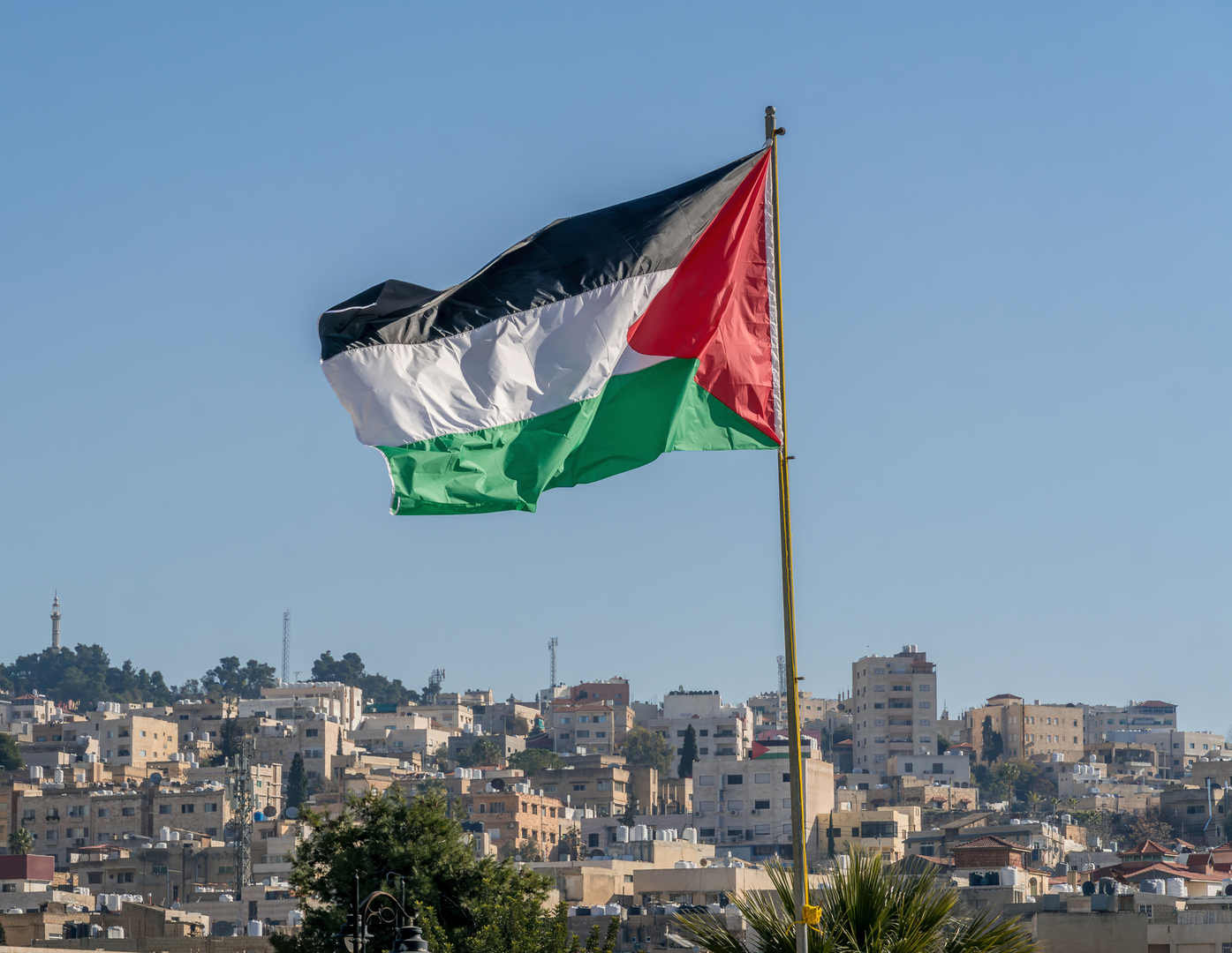 فلسطين ترحب باعتماد الجمعية العامة للأمم المتحدة "إعلان نيويورك" بأغلبية ساحقة حول حل الدولتين