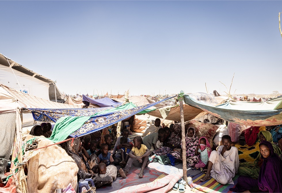 "نيويورك تايمز": سكان الفاشر السودانية يقتاتون على علف الحيوانات وسط المجاعة