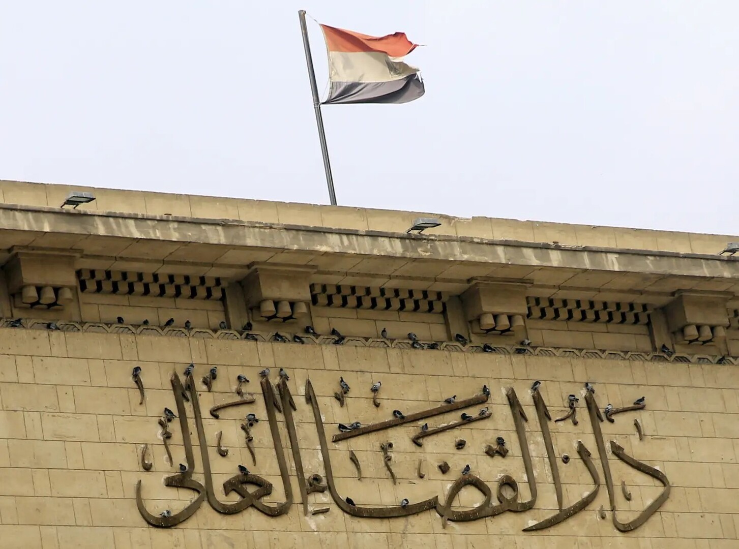 مصر.. أول صورة لقاتلة الأطفال الستة وزوجها