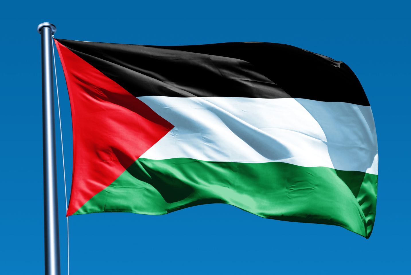 حماس: اعتراف بريطانيا وكندا وأستراليا بفلسطين خطوة مهمة يجب أن يترافق مع وقف فوري للحرب