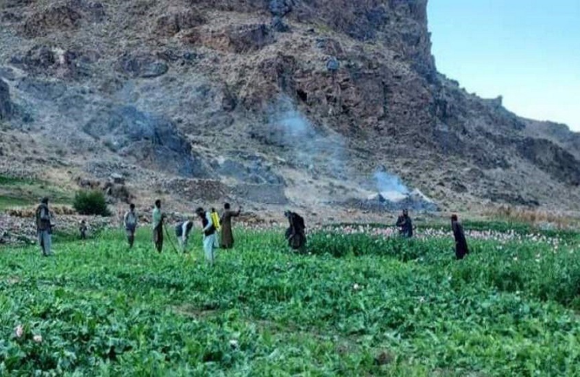"جمهور": مقتل 6 أشخاص وإصابة أكثر من 30 آخرين في هجوم على مسجد بولاية باميان الأفغانية