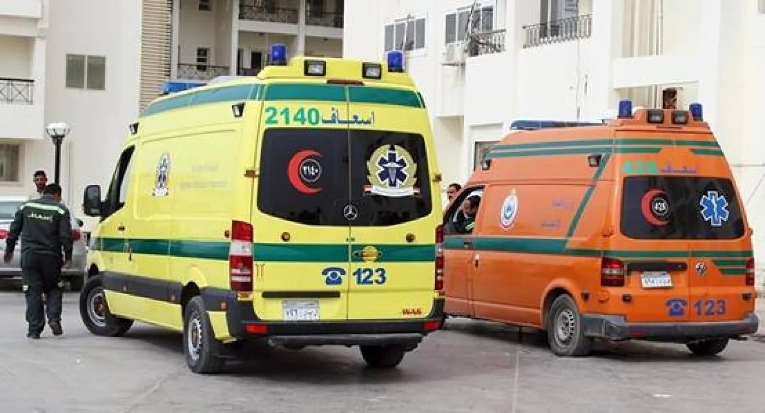 مصر.. وفاة "جودزيلا المسرح" بعد عملية جراحية