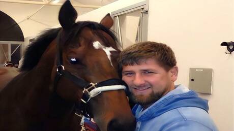  قديروف يكشف تفاصيل "خدعة" استعاد بها حصانه "زازو" من الأسر