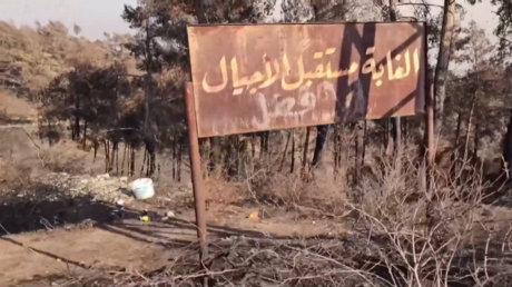 حرائق الغابات تجتاح جبل التركمان بريف اللاذقية غربي سوريا