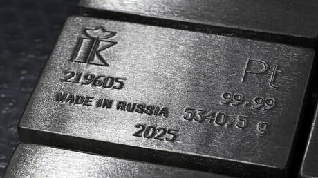 البلاتين يحلق لأعلى مستوى في 10 سنوات