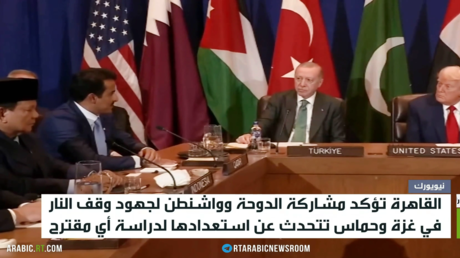 القاهرة.. الحرب على غزة وجهود الوسطاء