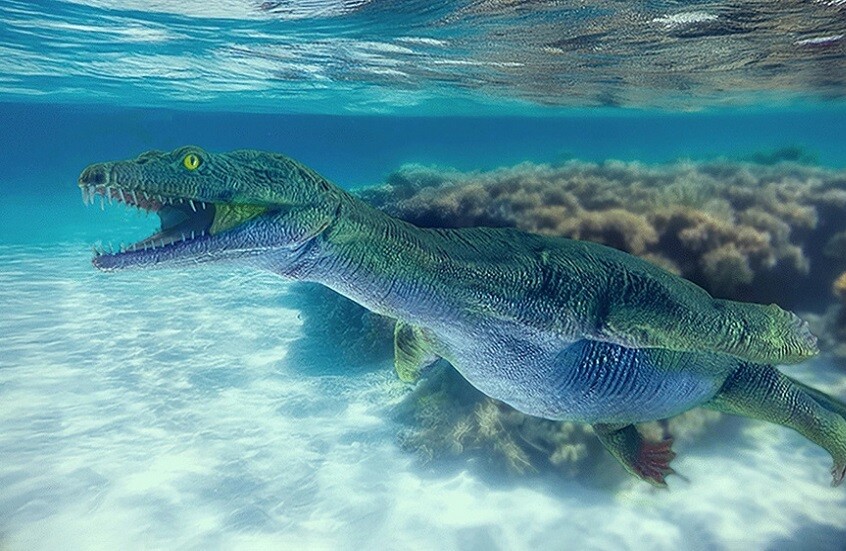 العثور على أحفورة لزاحف بحري استثنائي في سويسرا