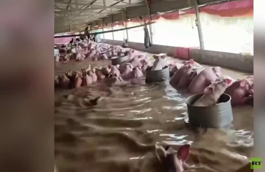 فيتنام.. عاصفة "بوالوي" تغمر المقاطعات الوسطى وتنذر بأزمة غذائية