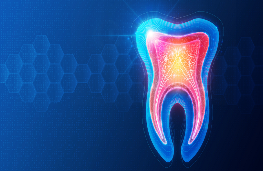 نحو مستقبل بلا أطقم أو زرعات.. اكتشاف قد يعيد للأسنان نموها الطبيعي