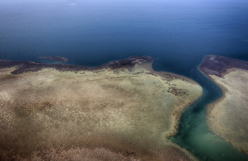 الكشف عن سر في البحر الأحمر! 2 68de932b4c59b736fe71368b