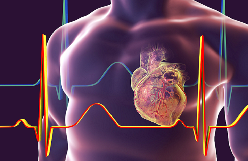 5 علامات تحذيرية لأمراض القلب تستدعي الانتباه الفوري
