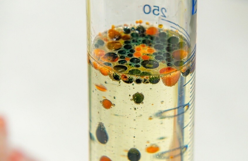 ابتكار مادة هلامية من الفطر لتجديد الأنسجة البشرية