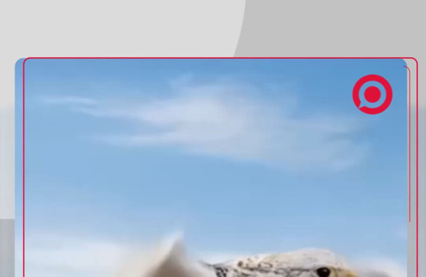 انطلاق الموقع الإلكتروني الرسمي لأول قمة روسية عربية تستضيفها موسكو في 15 أكتوبر