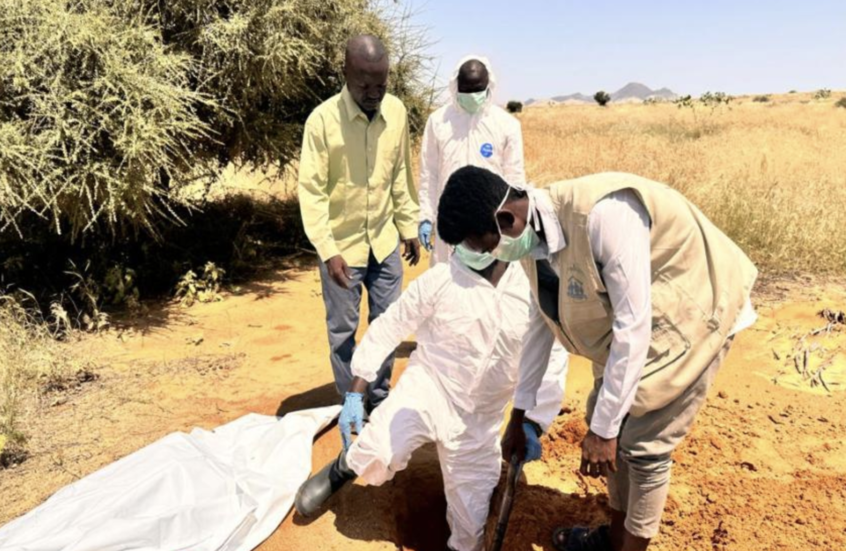 السودان.. "جثث على الطرقات".. رحلة الموت من الفاشر إلى طويلة هربا من الجوع والرعب