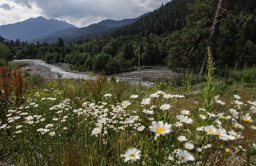 روسي عمره 92 عاما ينجو بأعجوبة من الموت بعد ضياعه في الغابة 3 أيام دون طعام وشراب