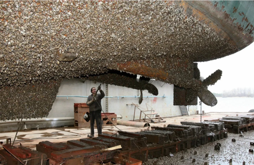 "فاينانشال تايمز": رفض الاتحاد الأوروبي اعتماد طلاء مبتكر يهدد كفاءة السفن ويزيد استهلاك الوقود