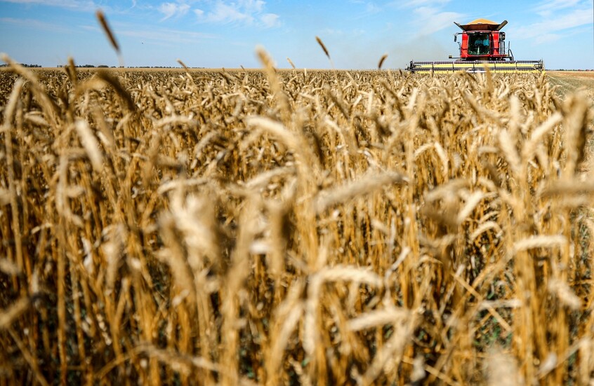 بوتين: روسيا أحد أبرز موردي الأغذية إلى السوق العالمية