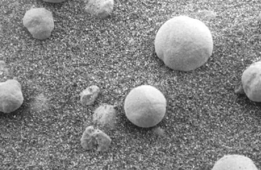 تجربة هندية تكشف قدرة الخميرة على التكيف مع ظروف كوكب المريخ القاسية