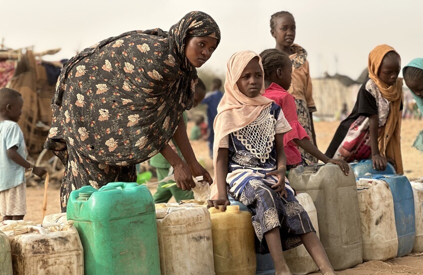 السودان.. محاصرون في الفاشر يأكلون جلود الأبقار للبقاء على قيد الحياة (فيديو)