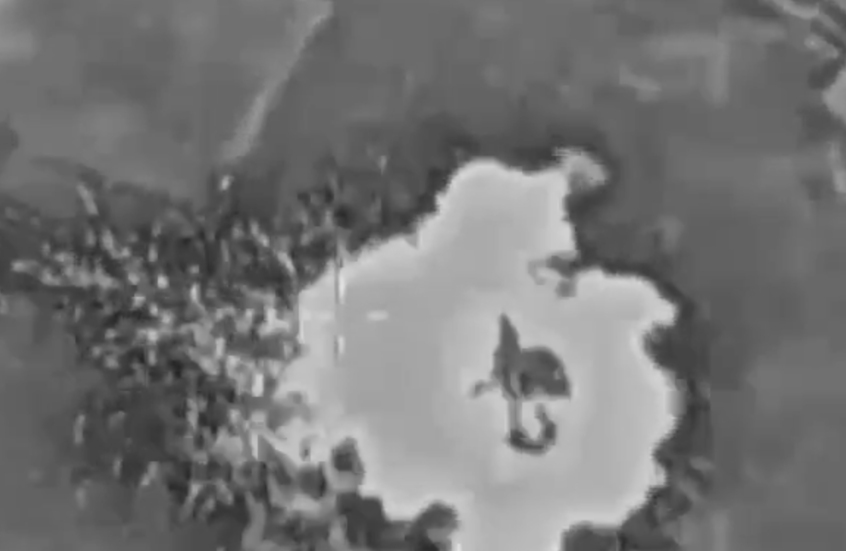 الجيش الإسرائيلي يعلن القضاء على عنصر من حزب الله جنوب لبنان