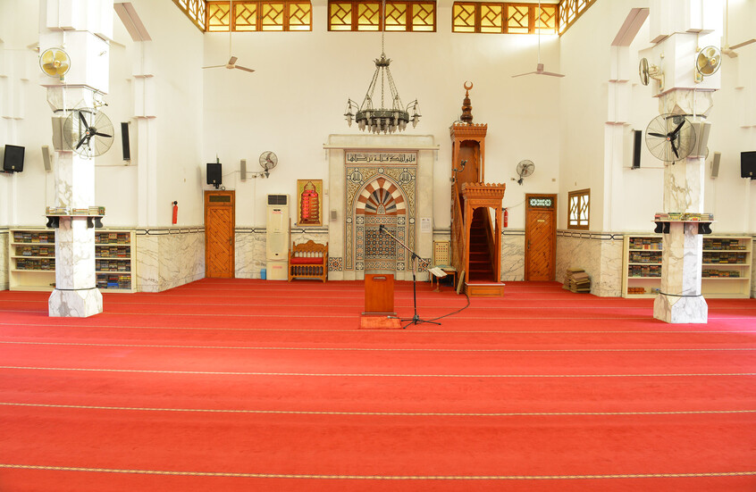 جهاز إنذار يفشل أغرب عملية سرقة في مصر