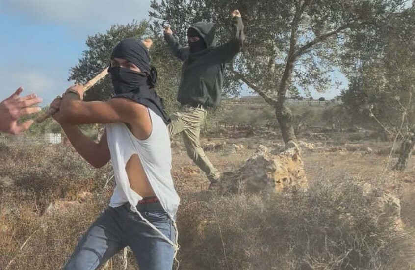 اعتداء وحشي على امرأة.. مستوطنون يهاجمون بعنف مزارعين فلسطينيين في الضفة الغربية (صور + فيديو)