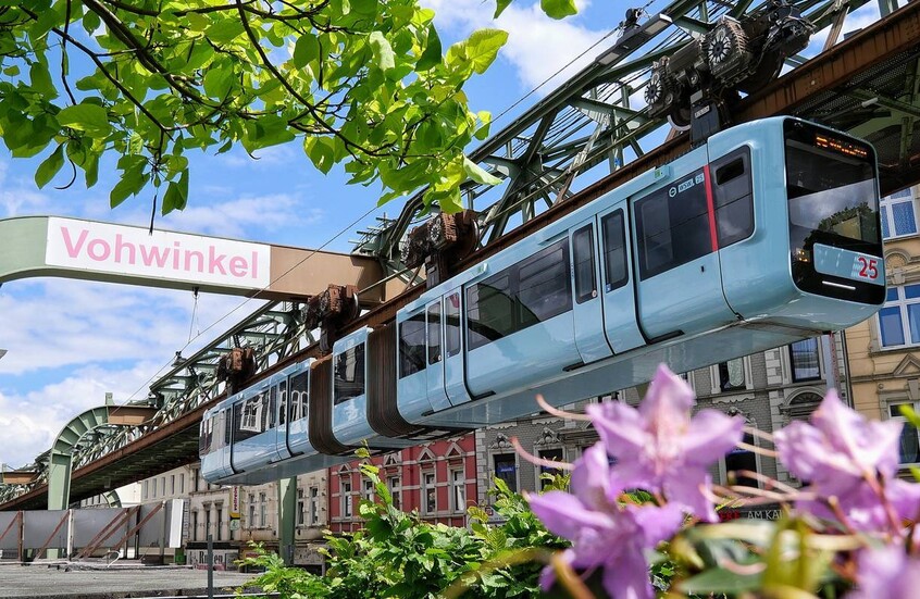 ألمانيا.. هجوم غامض يستهدف "أيقونة" فوبرتال (فيديو)