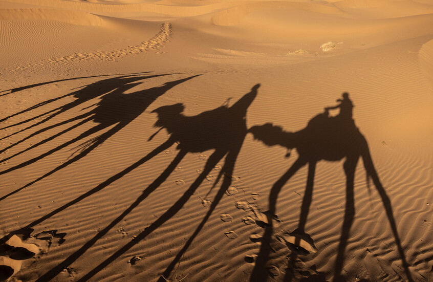 وزيرا خارجية الجزائر والصين يبحثان التسوية الأممية لقضية "الصحراء الغربية"