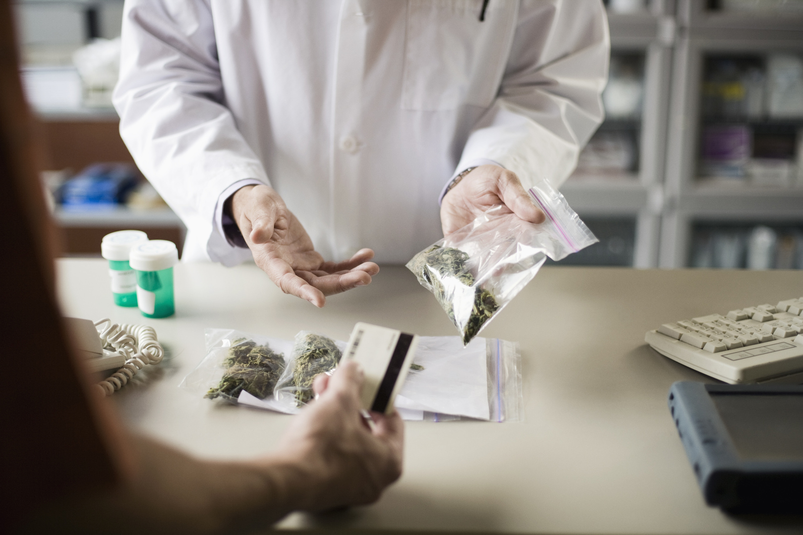 الحكومة الإسبانية توافق على استخدام نبات القنب الطبي كمخفف للآلام