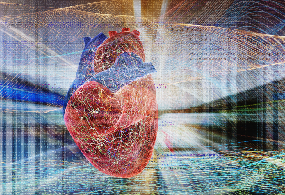 "غذاء خارق" يعزز صحة القلب ويضبط ضغط الدم والسكر