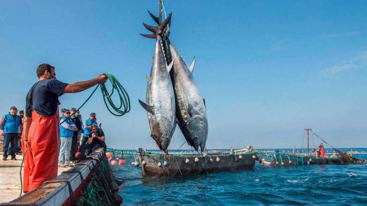 المغرب يوقع اتفاق صيد "متوازنا" مع روسيا