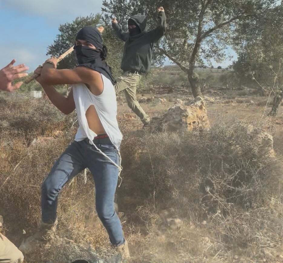 اعتداء وحشي على امرأة.. مستوطنون يهاجمون بعنف مزارعين فلسطينيين في الضفة الغربية (صور + فيديو)