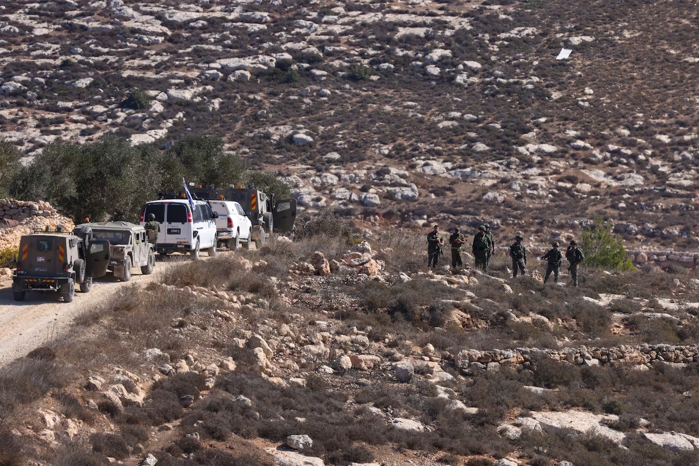 تقرير حكومي فلسطيني: الجيش الإسرائيلي ومستوطنوه نفذوا 158 اعتداء ضد قاطفي الزيتون بالضفة في أكتوبر