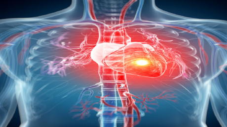 بين العاصفة والسكون: كيف نفرق بين النوبة القلبية والتوقف المفاجئ؟
