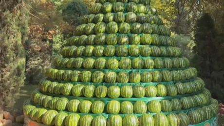 فيديوهات