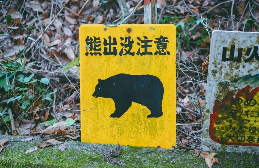 اليابان تنشر قوات عسكرية للتعامل مع هجمات الدببة (فيديو)