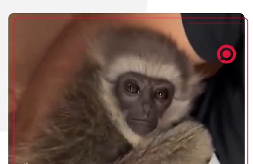 اعتقال راكب أجنبي في مطار مومباي بعد ضبط 