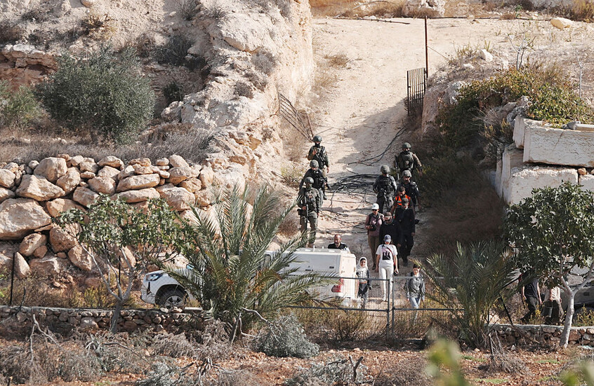 هيئة فلسطينية: إسرائيل تقتلع حوالي 49 ألف شجرة بالضفة الغربية خلال عامين