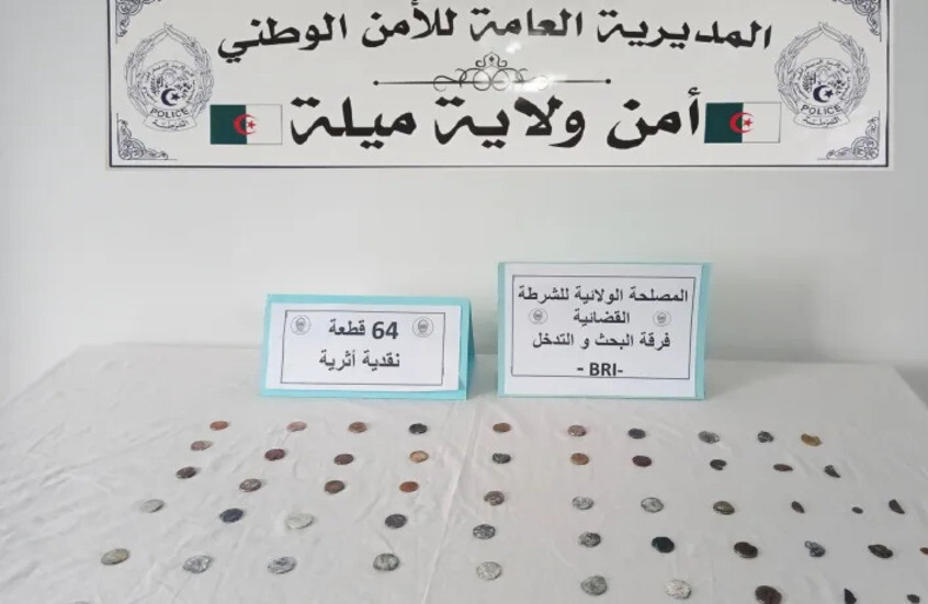 الجزائر.. ضبط قطع نقدية تعود للعصر النوميدي (صور)
