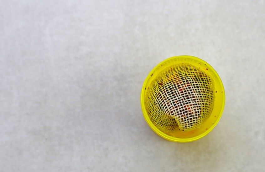 الإمارات تسحب منتجا تايلانديا من الأسواق وتطلب من مستخدميه التخلص منه فورا (صورة)